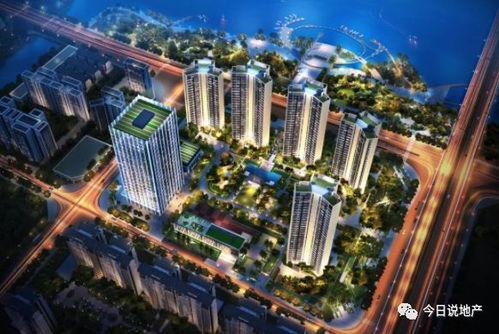 金湾最新爆料,揭秘神秘项目背后的惊人真相! 第3张 金湾最新爆料,揭秘神秘项目背后的惊人真相! 第3张