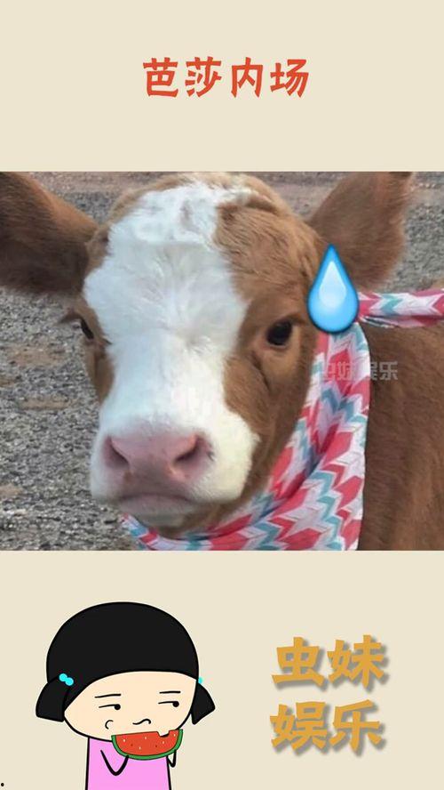 娱乐吃瓜酱小鱼,揭秘娱乐圈那些不为人知的幕后故事 第1张 娱乐吃瓜酱小鱼,揭秘娱乐圈那些不为人知的幕后故事 第1张