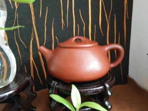 导游紫砂爆料视频大全,导游揭秘紫砂爆料视频大全