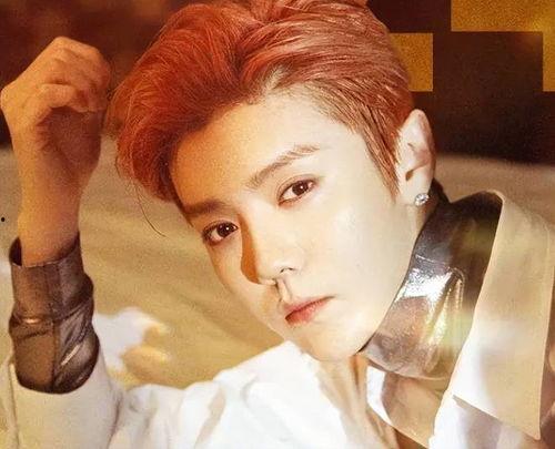 娱乐圈鹿晗爆料知乎,那些不为人知的真相与内幕”  第3张