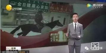 小马哥爆料视频大全最新,揭秘娱乐圈幕后真相  第1张